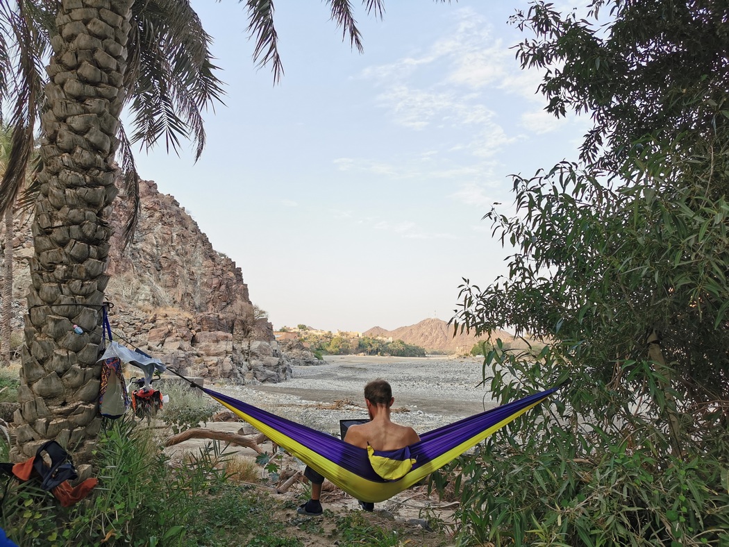 Hängematte zwischen Palmen