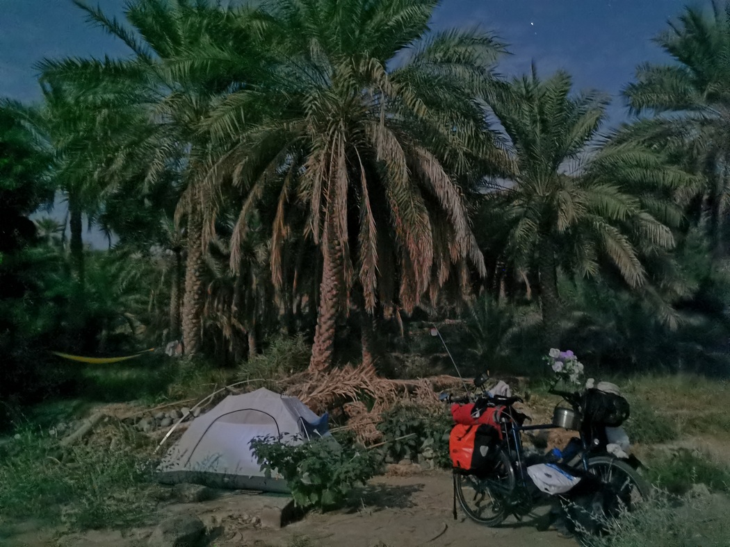 Zelt, Fahrräder und Hängematte zwischen Palmen