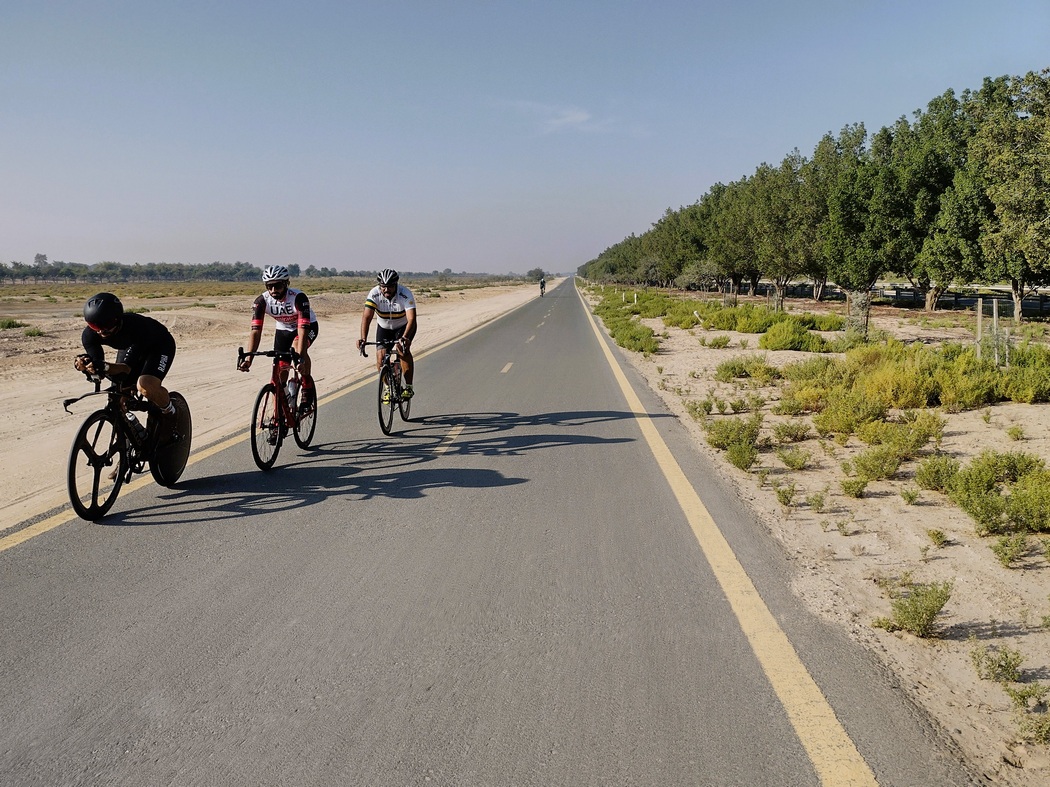 Rennradfahrer auf Radweg