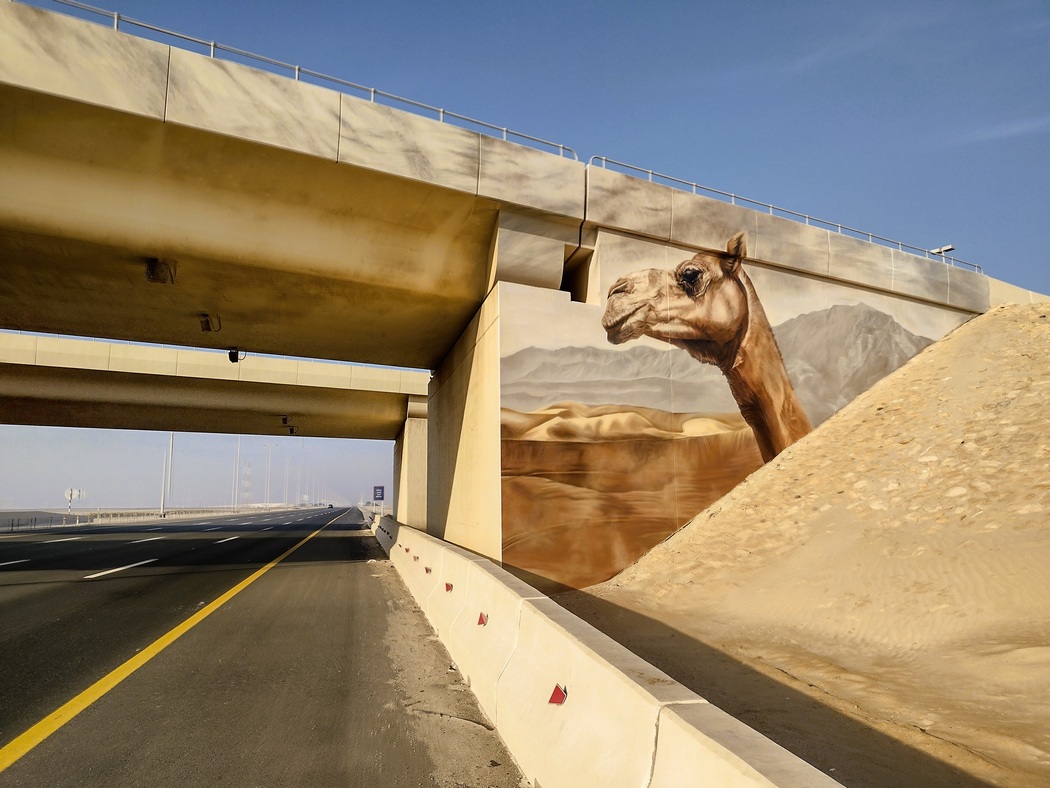 Bild von Kamel auf Brückenpfeiler