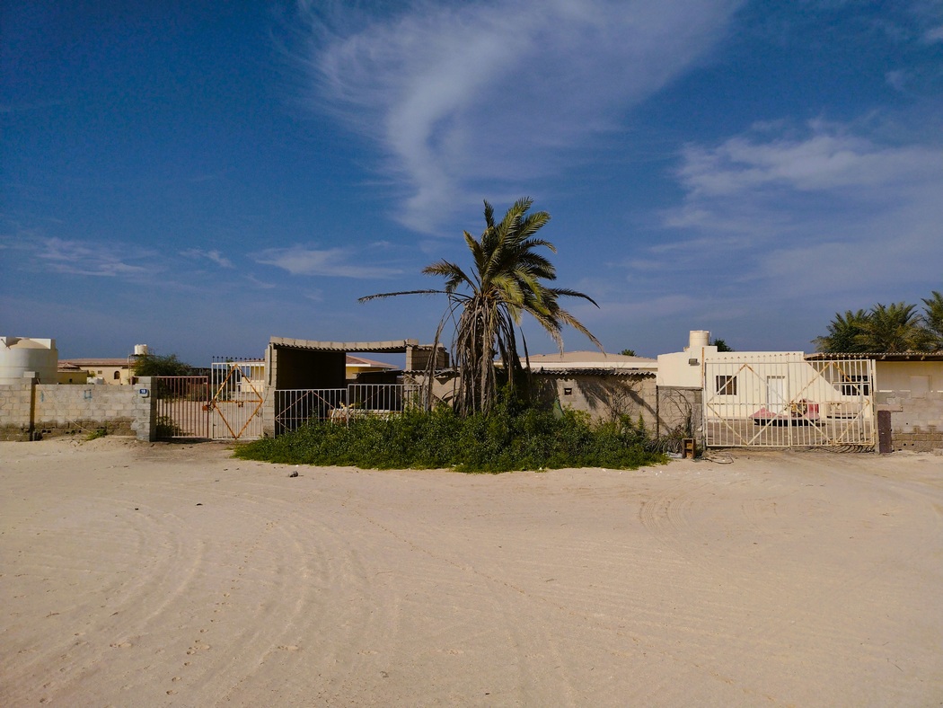 Hauseinfahrt mit Palme