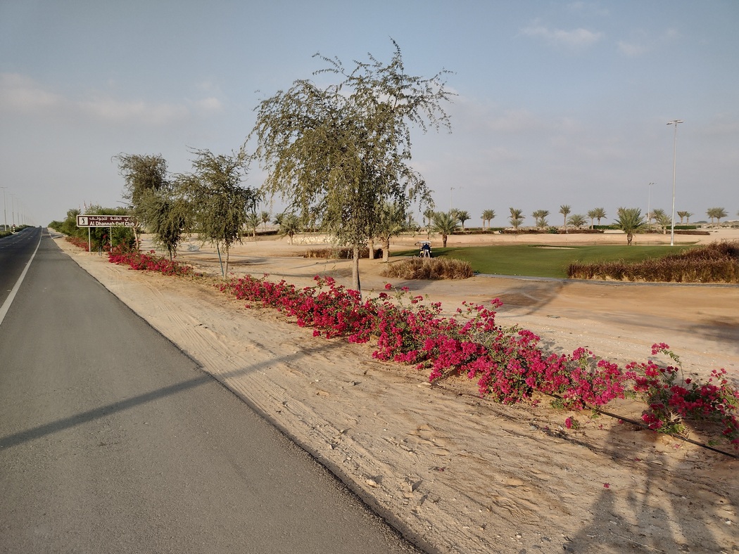 Golfplatz von Al Dhannah