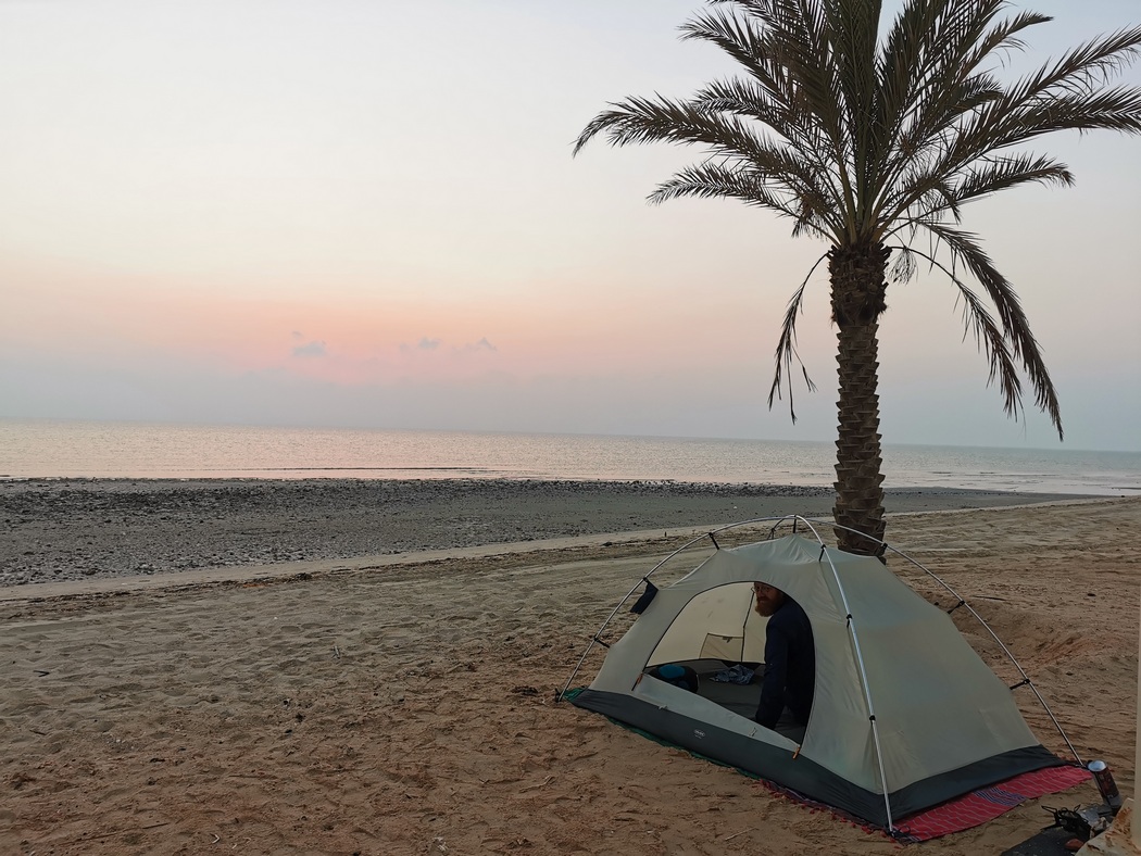 Zelt neben Palme am Meer