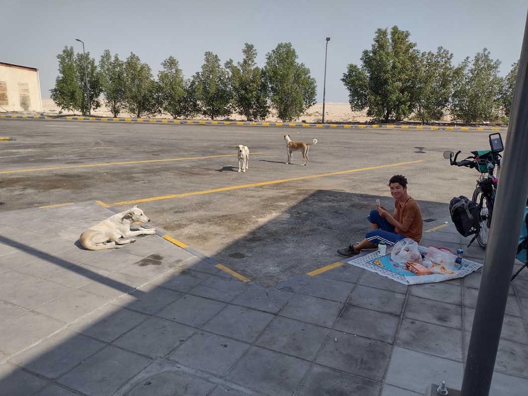 Picknick an einer Tankstelle, daneben bettelnde Hunde