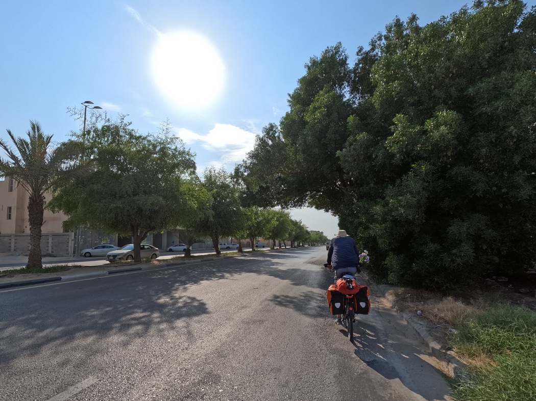 Fahrrad in Wohnviertel mit Bäumen