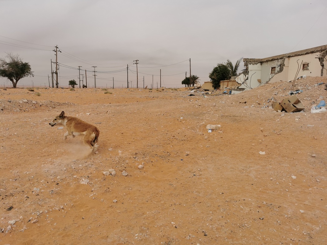 Ort in Saudi Arabien