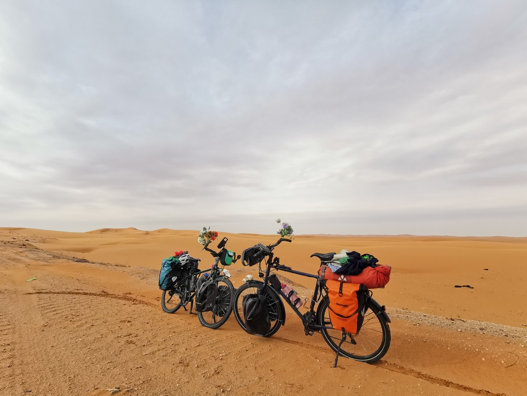 Fahrräder in Wüste