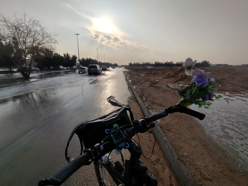 Überschwemmte Straße