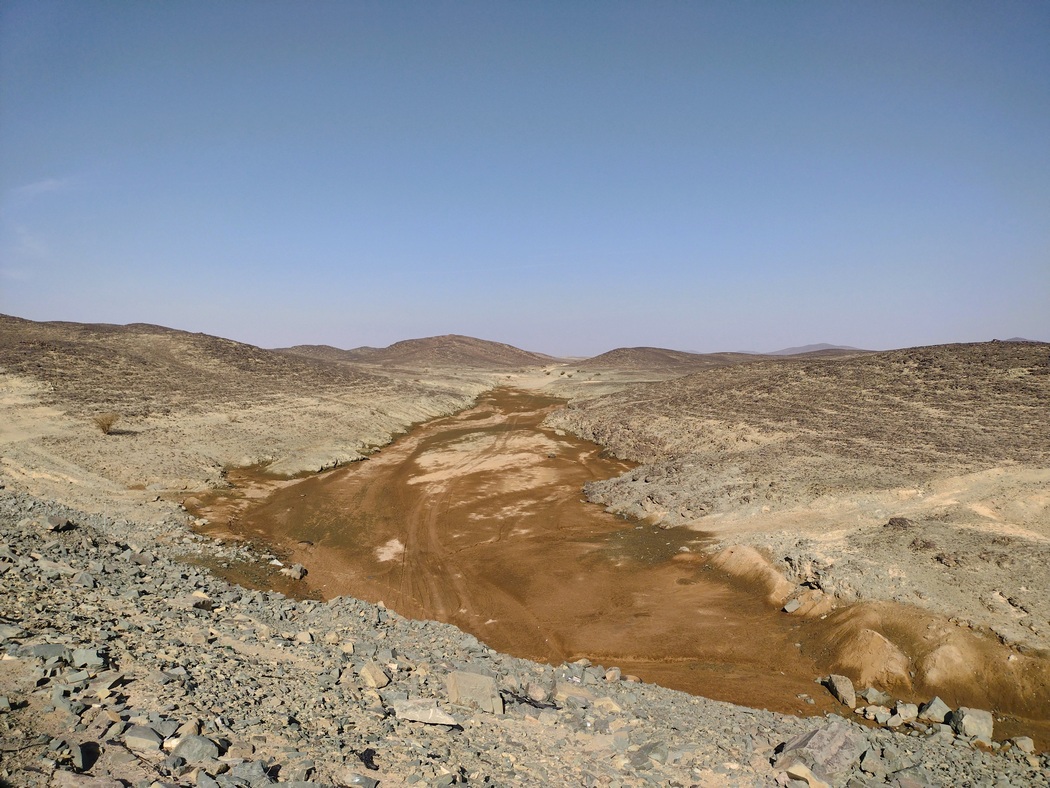 Wadi in der Steinwüste