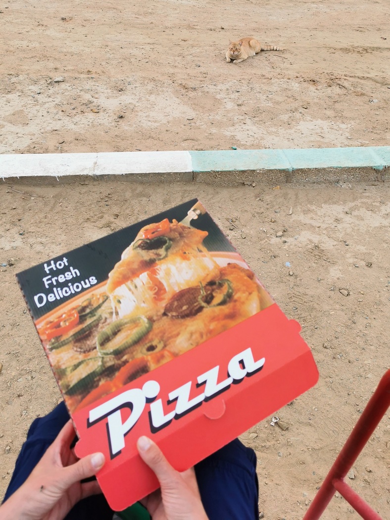 Pizzakarton und Katze