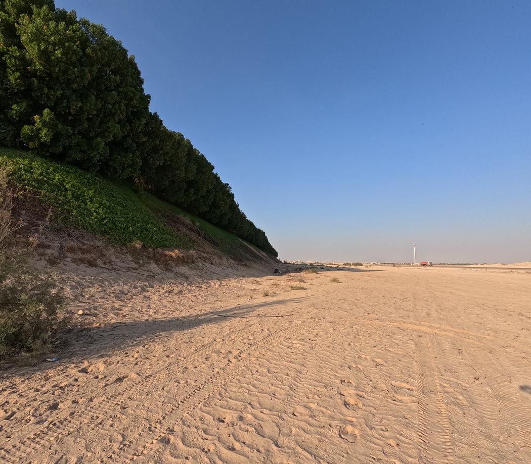 Begrünter Wall, nähe Abu Dhabi