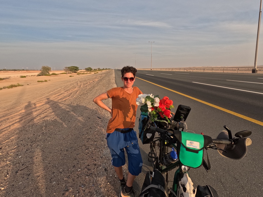 Fahrrad neben Highway