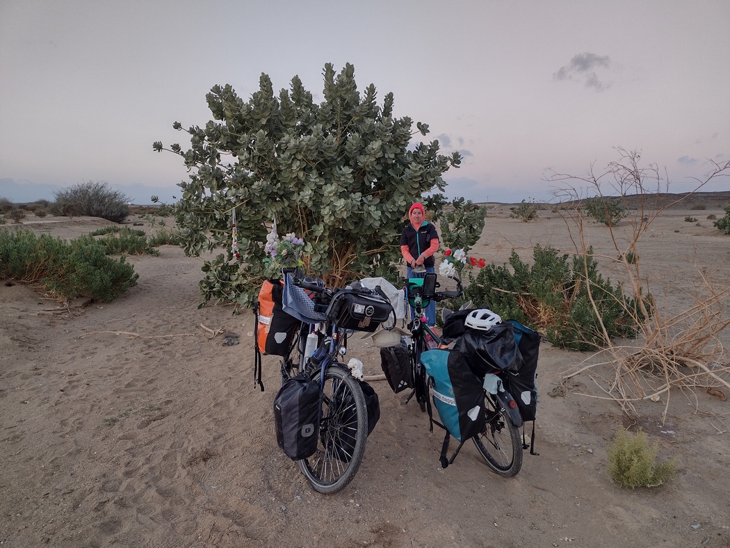 Fahrräder in Wadi vor Busch