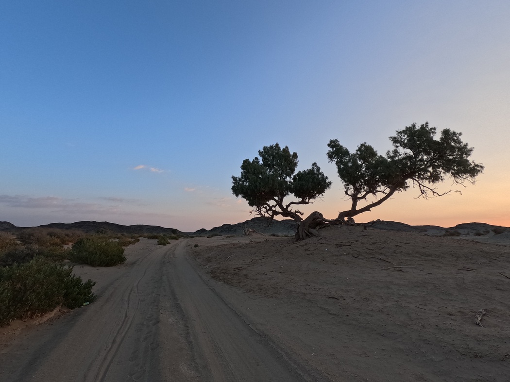 Wadi im Sonnenaufgang