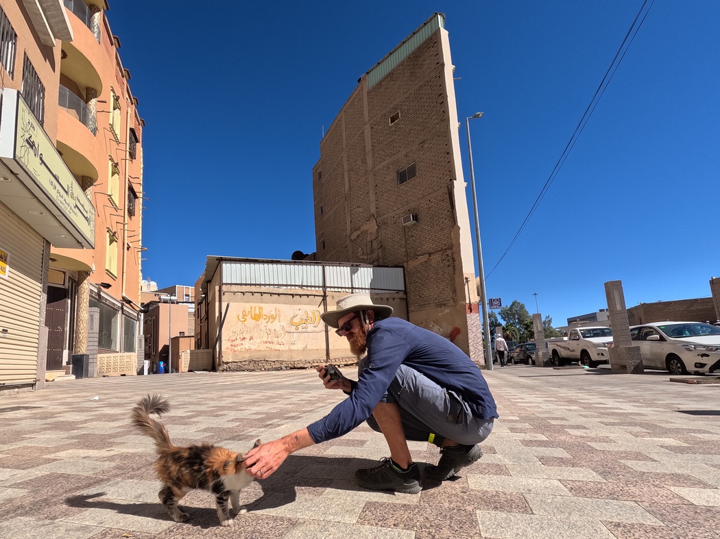 Tilmann grault Katze