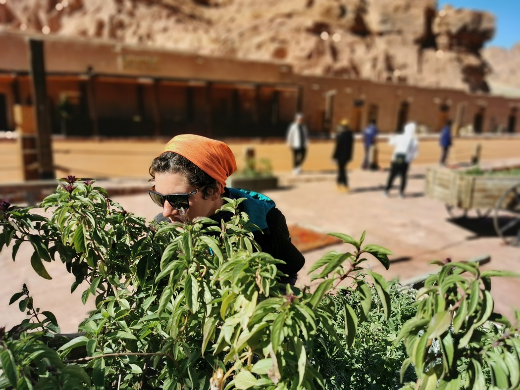 Julia riecht an Basilikum