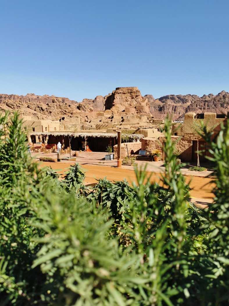 Kräuter in der restaurierten Altstadt