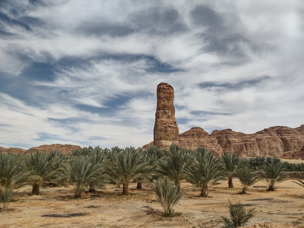 Felsen, davor Palmenplantage