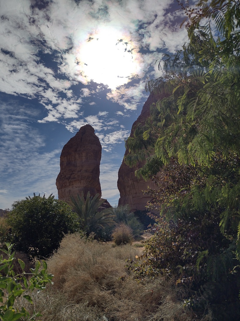Fels umgeben von Pflanzen