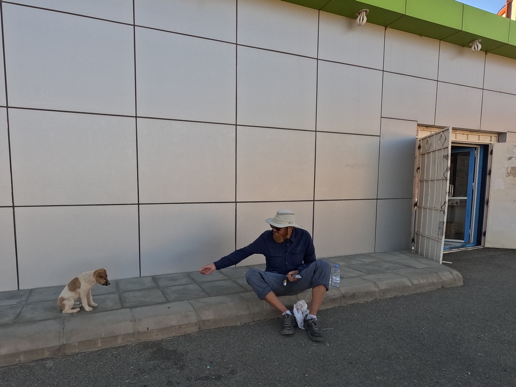 Tilmann füttert Welpen