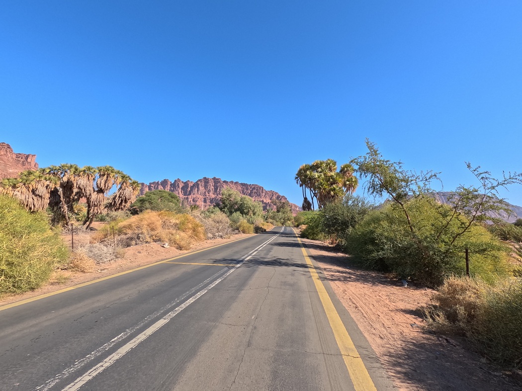 Straße mit Palmen und Büschen gesäumt