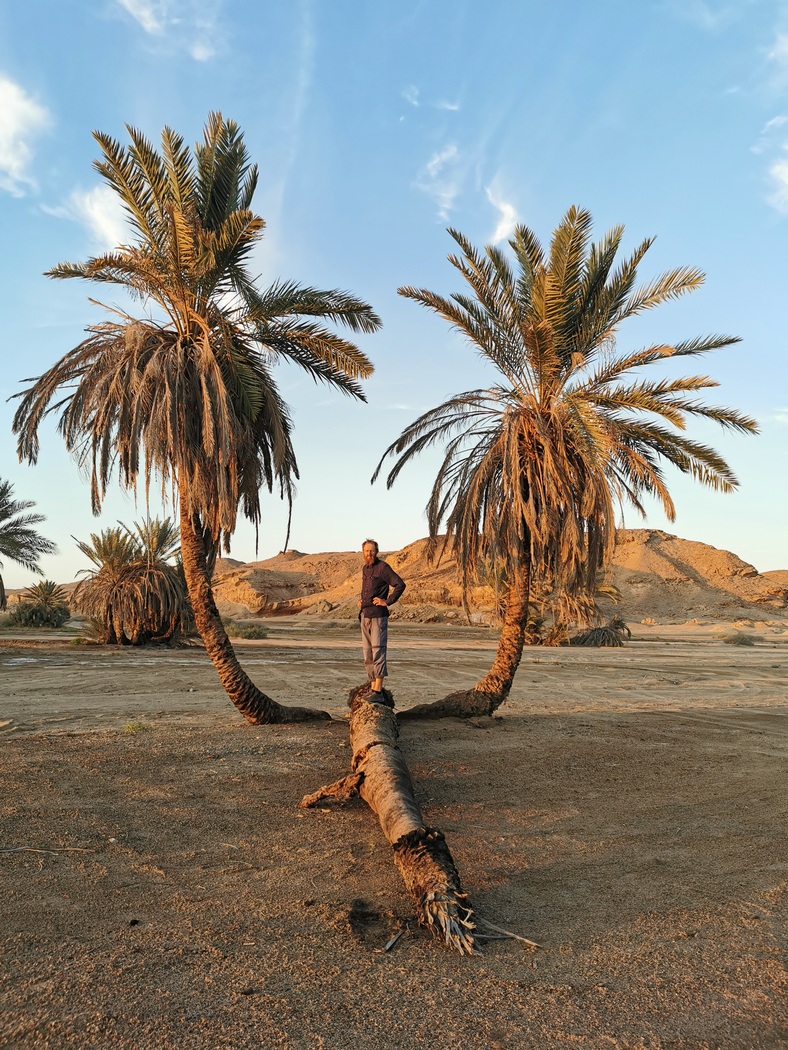 Tilmann steht auf Doppel-Palme
