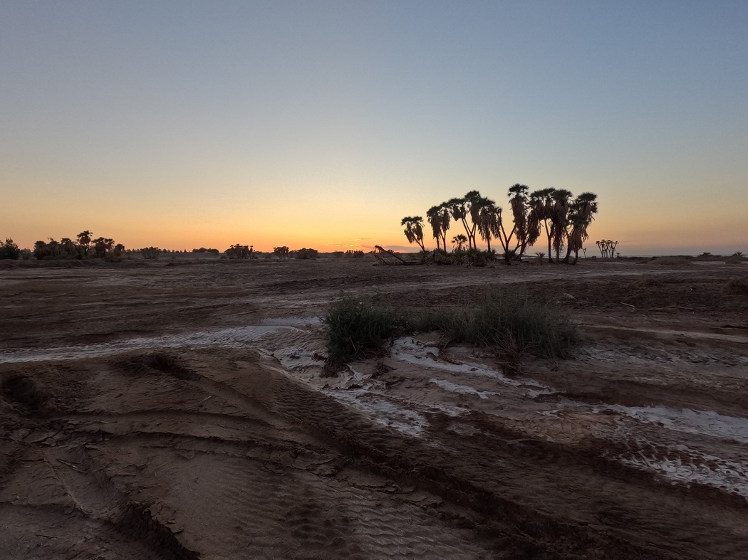 Sonnenuntergang überm Meer hinter Palmen