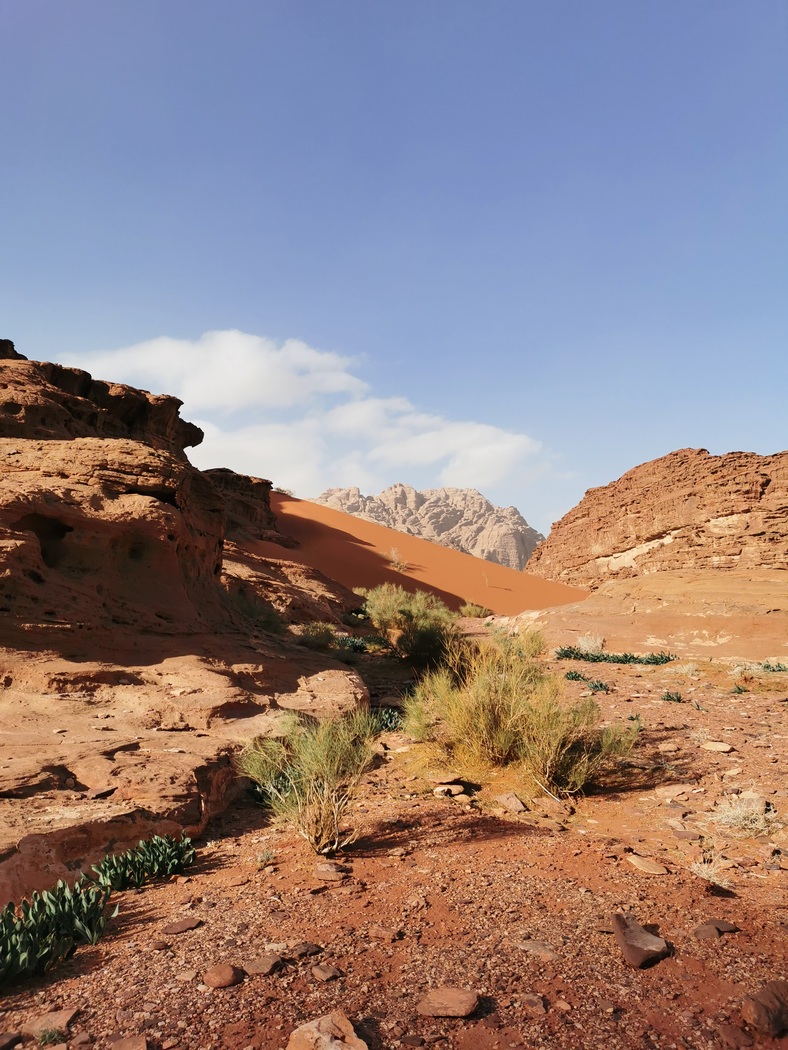 Farbenfrohe Wüste