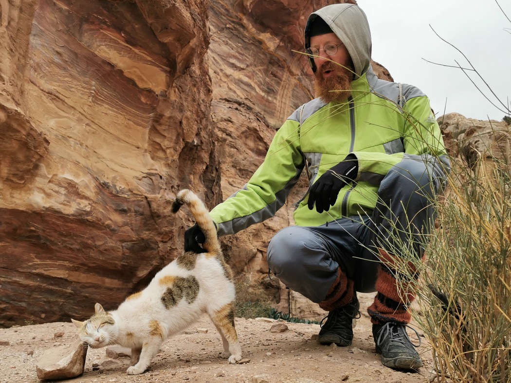 Katze in Petra