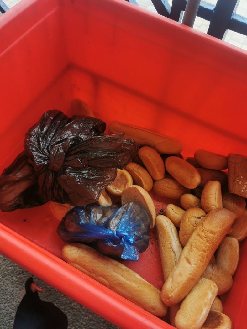 Brot in Plastikwanne