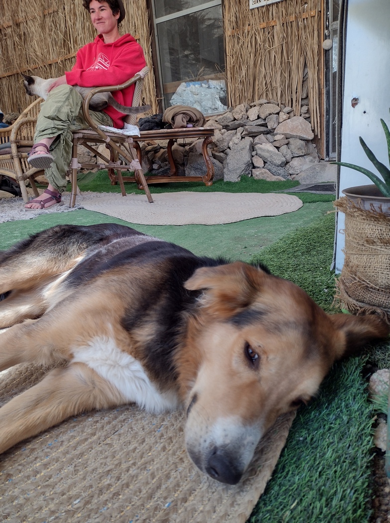 Jar, Taichi und Julia