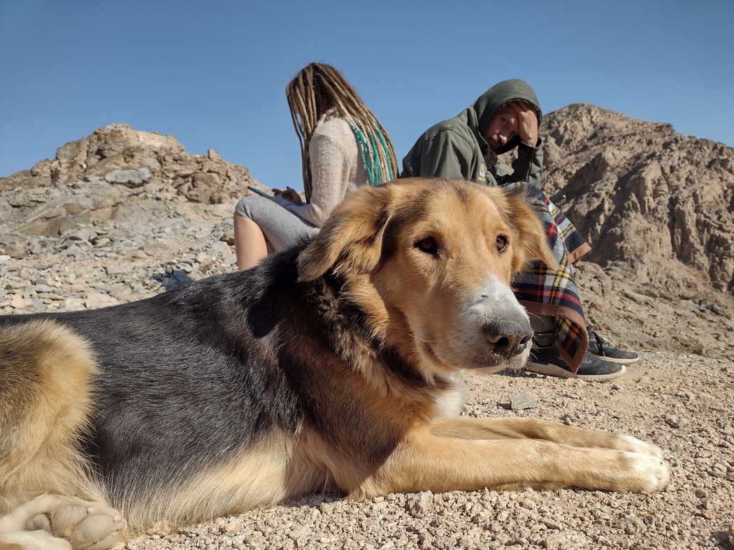 Elene, Sergio und der Hund in den Bergen